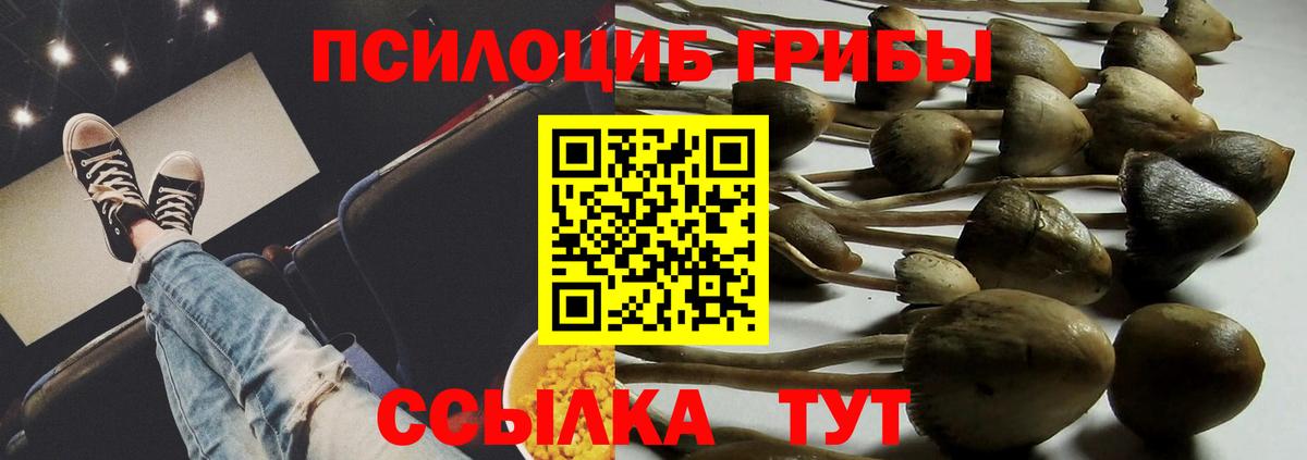 Серпухов  сколько стоит  Вход с VPN  Галлюциногенные грибы Magic Shrooms 